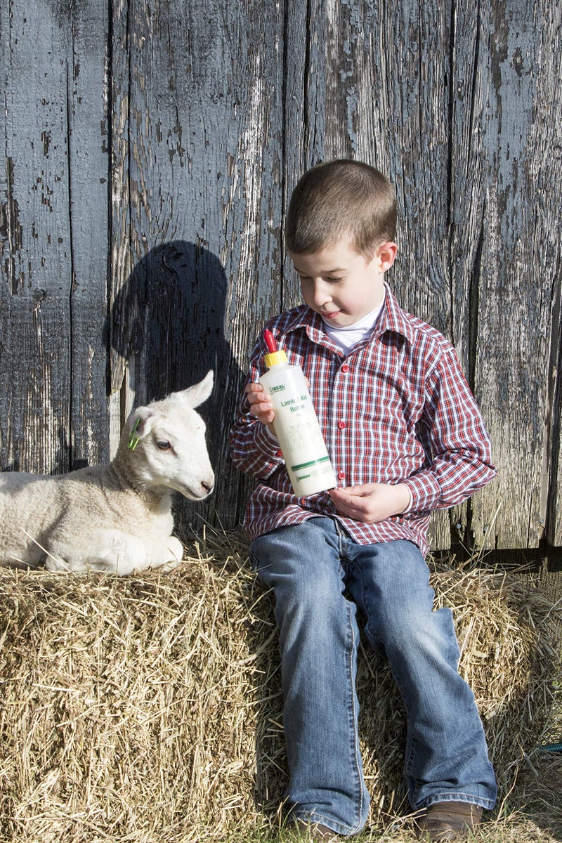 Neogen Ideal 7004 Lamb & Kid Bottle 16oz w/Red Screw-On Teat - Image 3